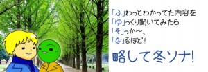 略して冬ソナ