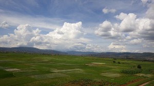 5 マダガスカルの農業_水稲栽培地域アンチラベ