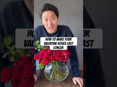 How To Decide And Buy The Best Roses How To Decide And Buy The Best Roses