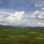5 マダガスカルの農業_水稲栽培地域アンチラベ
